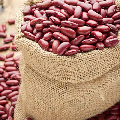 25 kg Kidneybohnen Kidney Bohnen getrocknet rote Bohnen Hülsenfrüchte Fasulye GMO frei feinste Qualität Soleilfood von SoleilFOOD