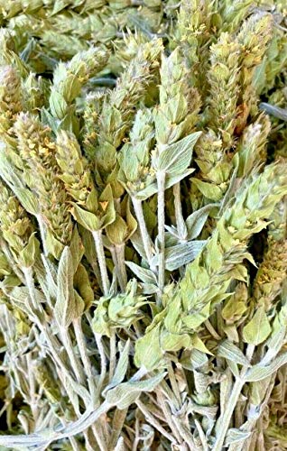 Griechischer Bergtee Sideritis Tee Kräuter feinste Qualität GMO frei Soleilfood 1 kg von SoleilFOOD