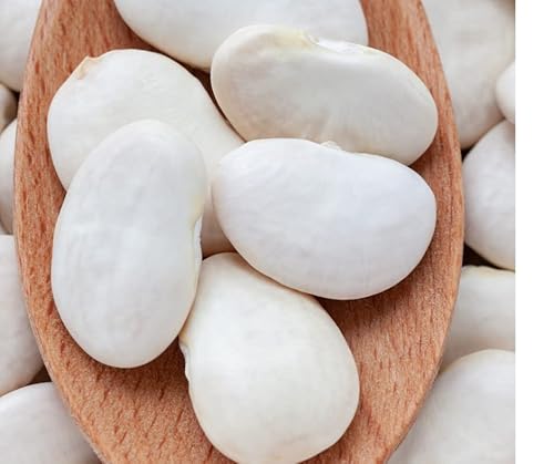 SoleilFOOD 5kg weiße Lima Bohnen Limabohnen getrocknet Butterbohnen Proteinquelle Hülsenfrüchte beans feinste Qualität von SoleilFOOD