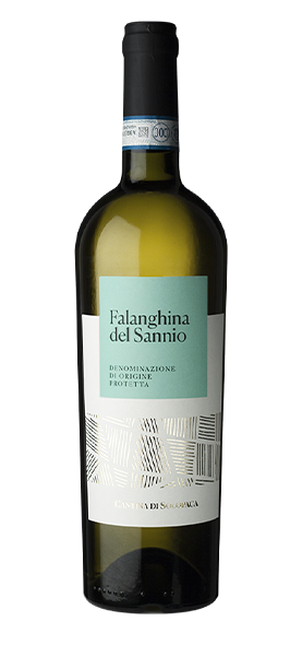 Falanghina del Sannio DOP 2022 von Solopaca