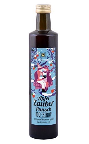 Sonnentor Apfelzauber Punsch-Sirup, 1er Pack (1 x 500 ml) - Bio von Sonnentor