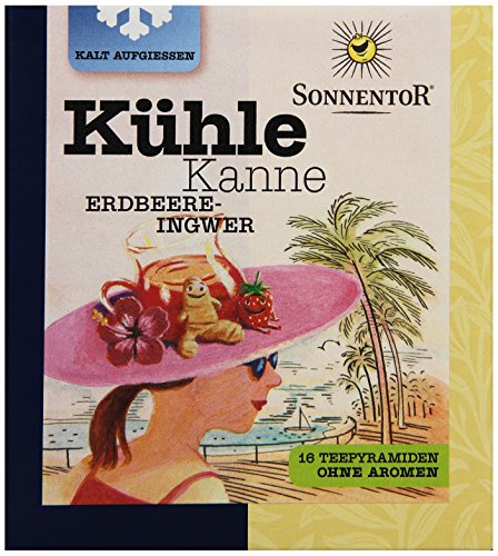 Sonnentor Erdbeere-Ingwer Kühle Kanne bio, Teepyramiden, 2er Pack (2 x 45 g) von Sonnentor