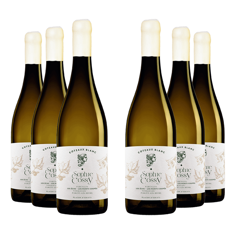 Sophie Cossy : Coteaux Blanc 2022 Sophie Cossy : Coteaux Blanc 2022 von Sophie Cossy