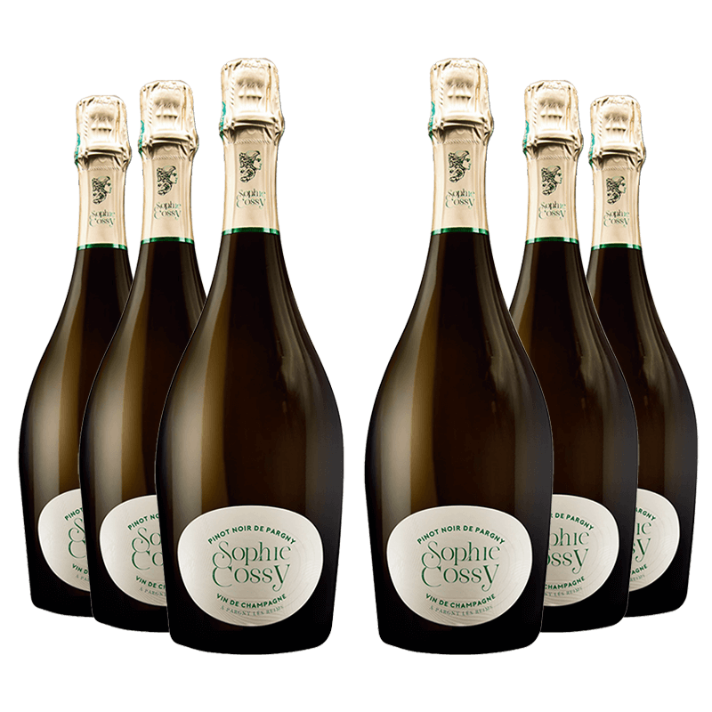 Sophie Cossy : Pinot Noir de Pargny 2020 Sophie Cossy : Pinot Noir de Pargny 2020 von Sophie Cossy