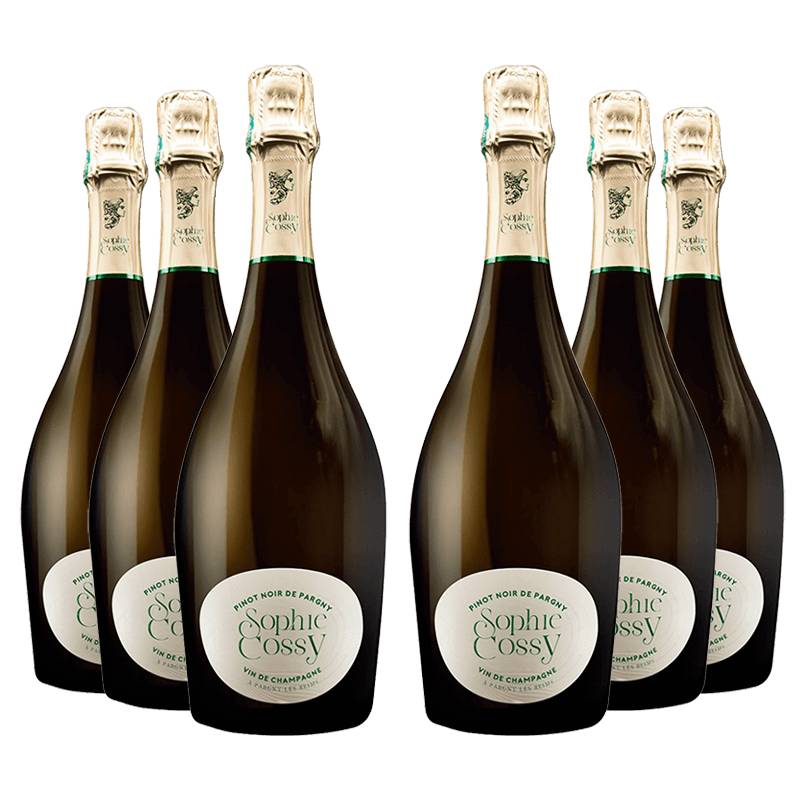 Sophie Cossy : Pinot Noir de Pargny 2020 von Sophie Cossy