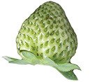 Aroma grüne Erdbeere, flüssig, 50g Aroma grüne Erdbeere, flüssig, 50g von Sosa