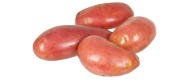 Frühkartoffeln Rudolph, rotschalig (1 kg) von Spanien