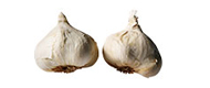 Knoblauch von Deutschland