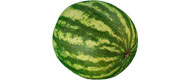Mini-Wassermelonen (1 kg) von Spanien