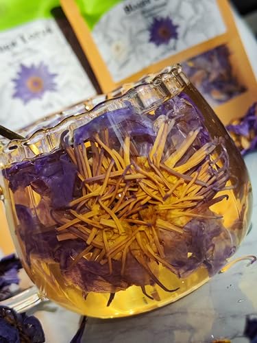 Lotus Tee | Premium Qualität - Handgepflückt - schneller Direktversand aus Deutschland (ganze Blume, 25g) von Speechless Tea
