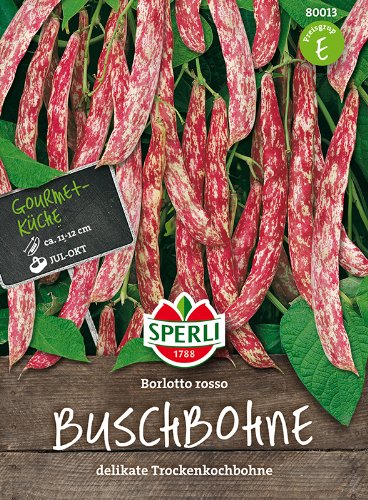 Buschbohnen, 'Borlotto rosso' von Sperli