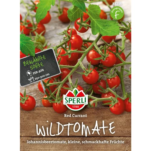 Cherry-Tomate, Red Currant von Sperli