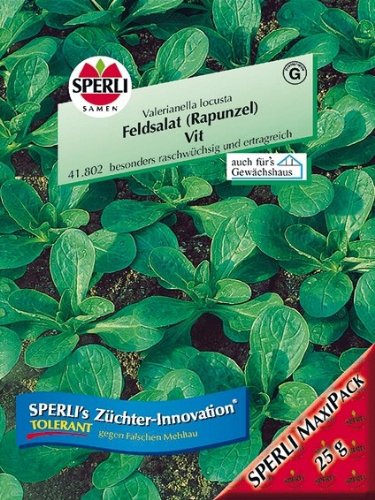 Feldsalat (Rapunzel) Vit (Maxipack 25g), raschwüchsig von Sperli