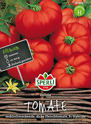 Fleisch-Tomate, Delizia, F1 von Sperli
