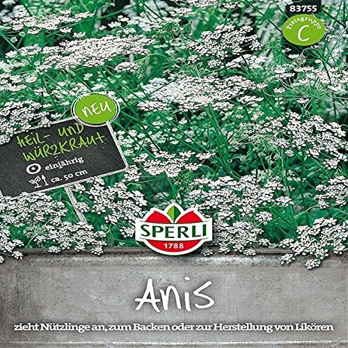 Heil- und Würzkraut Anis - Sperli von Sperli