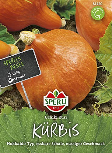 Kürbissamen - Kürbis Uchiki Kuri von Sperli-Samen von Sperli