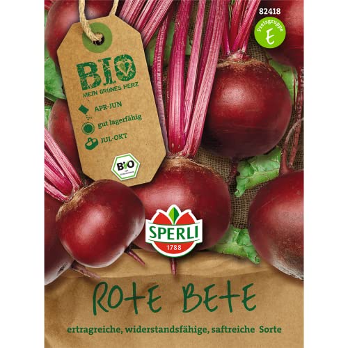 Rübensamen - Bio-Rote Beete Storuman - Bio-Saatgut von Sperli-Samen von Sperli