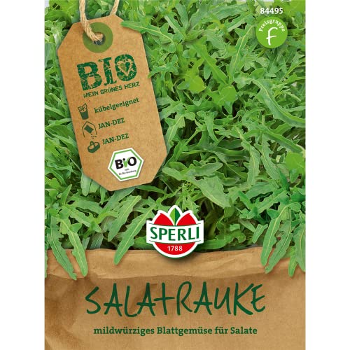 Salatsamen - Bio-Salatrauke Bio-Saatgut von Sperli-Samen von Sperli