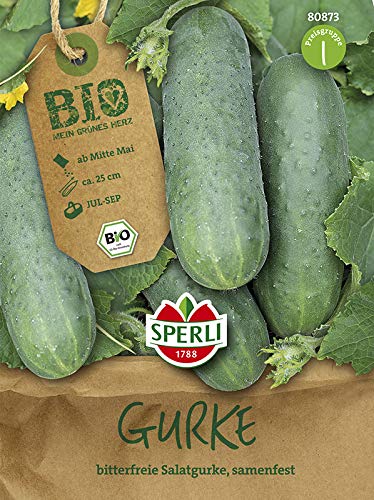 Sperli 80873 Salatgurke Marketmore (Bio-Gurkensamen) von Sperli