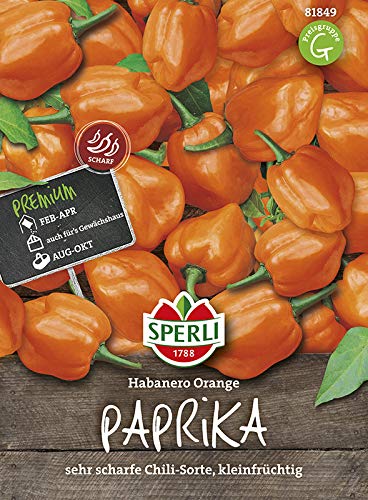 Sperli 81849 Paprika Habanero orange (Chilisamen) von Sperli