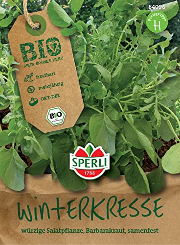 Sperli 84096 BIO Winterkresse, Würzig- scharf im Geschmack, damit ideal für Liebhaber von Wasabi von Sperli