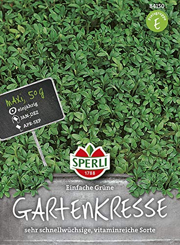 Sperli 84149 Gartenkresse Grüne einfache (MaxiPack 50g) (Kressesamen) von Sperli