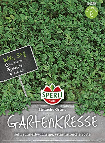 Sperli 84150 Gartenkresse Grüne einfache (MaxiPack 50g) (Kressesamen) von Sperli