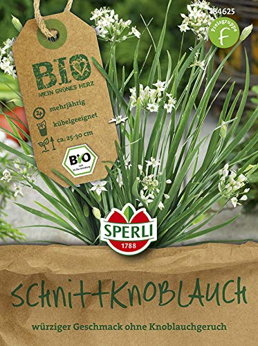 Sperli 84625 Schnittknoblauch (Bio-Schnittlauchsamen) von Sperli