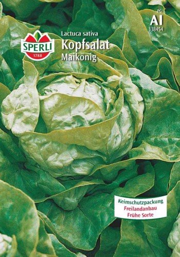 Sperli Kopfsalat, Maikönig Saatgut von Sperli