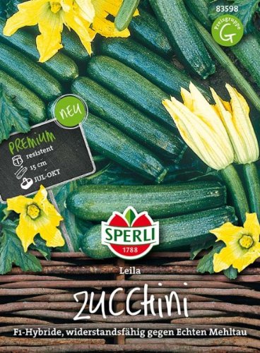 Sperli Zucchini Leila, F1-Hybride von Sperli