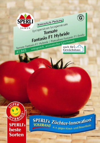 Tomate Fantasio F1 Hybride von Sperli