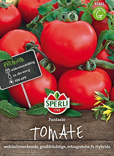 Tomaten, 'Fantasio F1' von Sperli