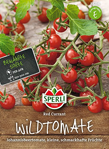 Tomaten (Wildtomaten), 'Red Curraut' von Sperli