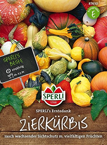 Zierkürbis, Erntedank Mischung von Sperli