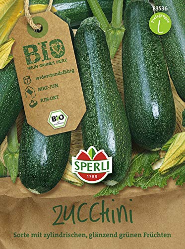 Zucchinisamen - Bio-Zucchini grün Bio-Saatgut von Sperli-Samen von Sperli