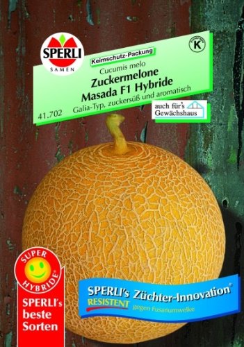 Zuckermelone, Masada F1 Hybride von Sperli