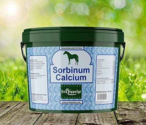 St. Hippolyt Sorbinum Calcium 10 kg von St. Hippolyt