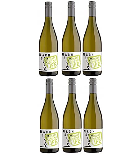 Winzerhof Stahl Nachschlag Bright Side of Life Weißwein Cuvée Wein trocken (6 Flaschen) von Winzerhof Stahl