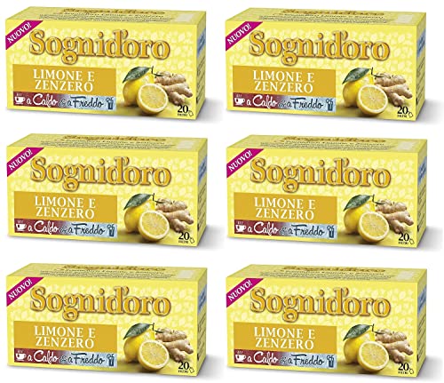 6x Star Sognid'oro Infusi alla Frutta Limone e Zenzero Fruchtaufgüsse Geschmack Zitrone und Ingwer Packung mit 20 Filtern von Star