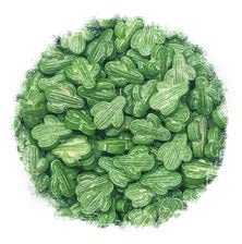 Grüne Kaktus-Kuchenstreusel, 50 g Grüne Kaktus-Kuchenstreusel, 50 g von Stef's