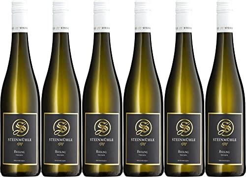 6x Riesling trocken 2021 - Steinmühle, Rheinhessen - Weißwein von Steinmühle