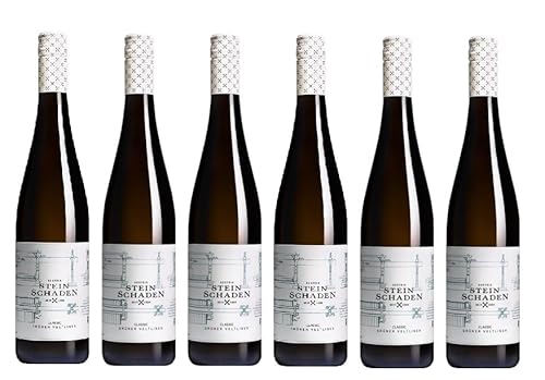 6x 0,75l - 2022er - Steinschaden - Grüner Veltliner - Classic - Niederösterreich - Österreich - Weißwein trocken von Steinschaden