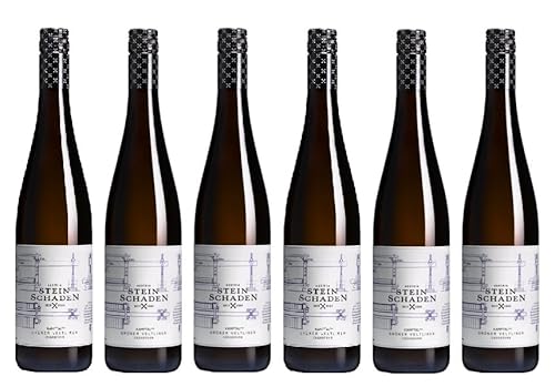 6x 0,75l - 2022er - Steinschaden - Grüner Veltliner - Engabrunn - Kamptal DAC - Österreich - Weißwein trocken 6x 0,75l - 2022er - Steinschaden - Grüner Veltliner - Engabrunn - Kamptal DAC - Österreich - Weißwein trocken von Steinschaden