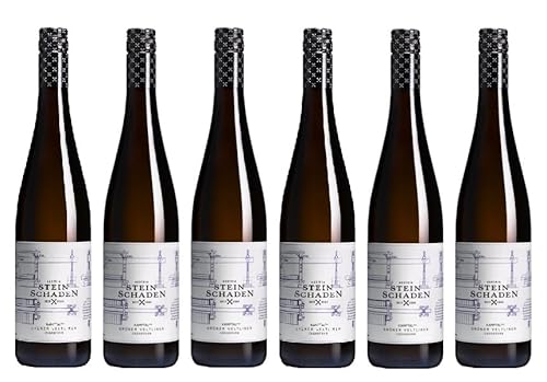 6x 0,75l - 2022er - Steinschaden - Grüner Veltliner - Engabrunn - Kamptal DAC - Österreich - Weißwein trocken von Steinschaden