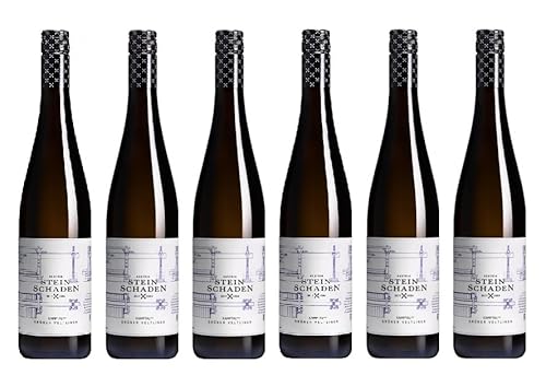 6x 0,75l - 2023er - Steinschaden - Grüner Veltliner - Kamptal DAC - Österreich - Weißwein trocken 6x 0,75l - 2023er - Steinschaden - Grüner Veltliner - Kamptal DAC - Österreich - Weißwein trocken von Steinschaden