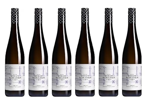 6x 0,75l - 2022er - Steinschaden - Grüner Veltliner - Kamptal DAC - Österreich - Weißwein trocken von Steinschaden