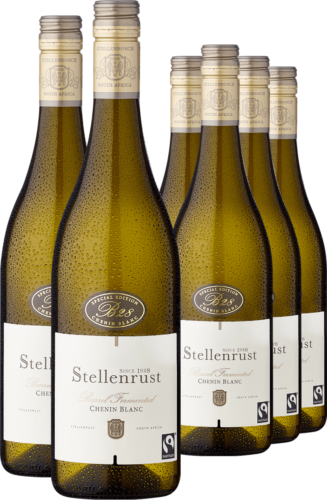 4+2-PAKET Stellenrust »B28« Chenin Blanc 2022 4+2-PAKET Stellenrust »B28« Chenin Blanc 2022 von Stellenrust
