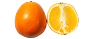 Orangen Navelina von Spanien