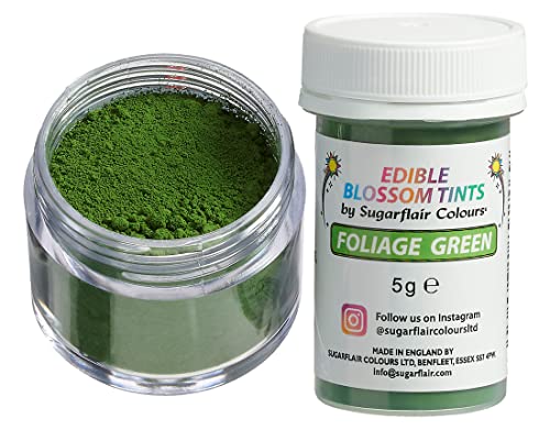 Sugarflair Blossom Tint Dust Lebensmittelfarbe Pulver Foliage Green - Lebensmittel Farbe Pulver für Kuchenoberflächen, Zuckerpaste, Fondant, Zuckerguss, Schokolade, Buttercreme, Macarons und mehr - 5g Sugarflair Blossom Tint Dust Lebensmittelfarbe Pulver Foliage Green - Lebensmittel Farbe Pulver für Kuchenoberflächen, Zuckerpaste, Fondant, Zuckerguss, Schokolade, Buttercreme, Macarons und mehr - 5g von Sugarflair Colours