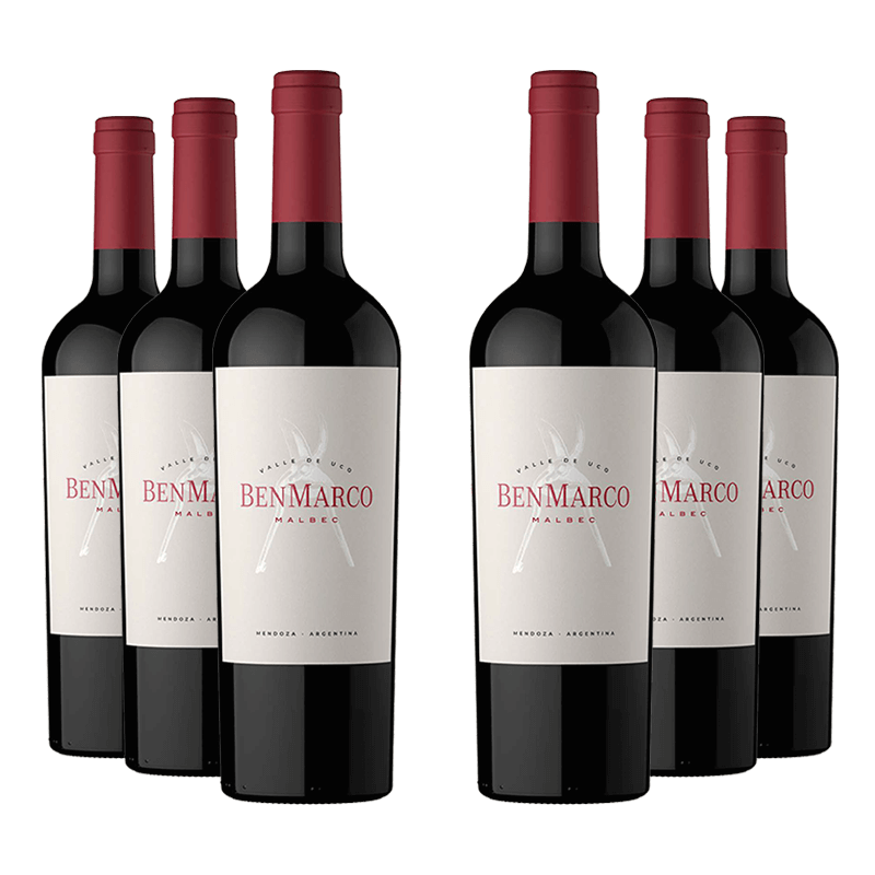 Susana Balbo : BenMarco Malbec 2021 von Susana Balbo